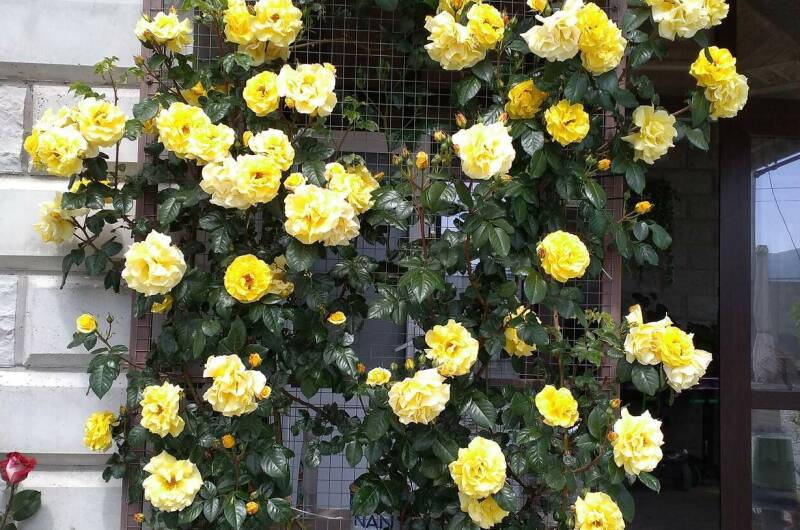 Изображение Изображение гостиницы &quot;Гостевой дом «Отдых»&quot; #2 #2