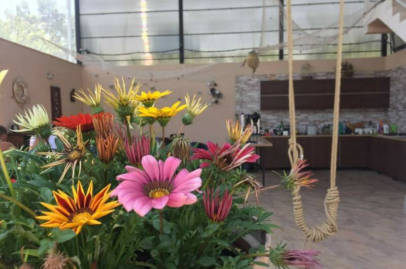 Изображение Изображение гостиницы "Мини-гостиница «Кукушкино гнездо»" #7 #7