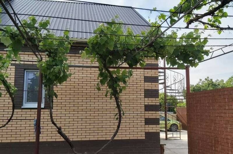 Изображение Изображение гостиницы &quot;Гостевой дом «У Марины»&quot; #3 #3