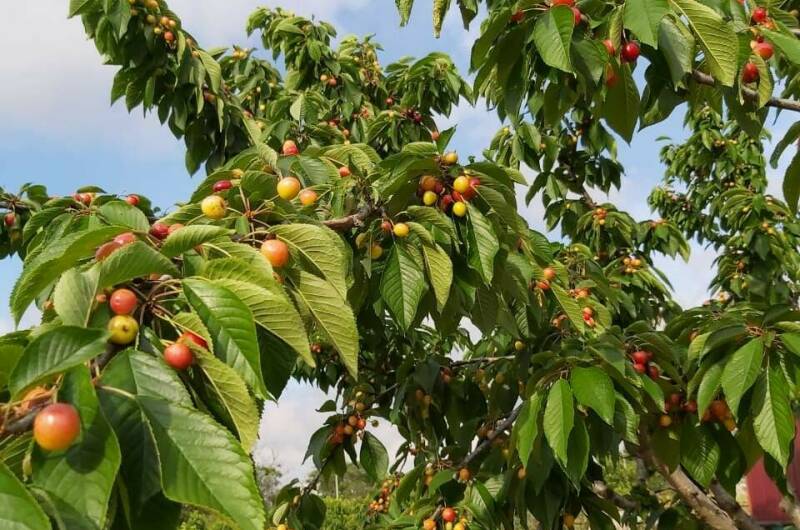 Изображение Изображение гостиницы &quot;Гостевой дом «У Марины»&quot; #7 #7