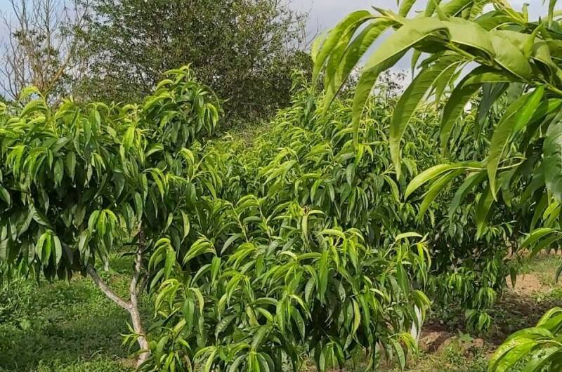 Изображение Изображение гостиницы &quot;Гостевой дом «У Марины»&quot; #8 #8