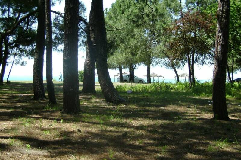 Изображение Изображение квартиры / апартамента "3-х комнатная квартира в Цитрусовом" #2 #2