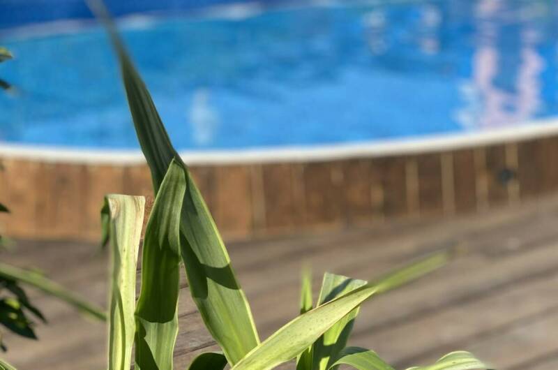 Изображение Изображение гостиницы &quot;Guest Home «Paradise»&quot; #6 #6