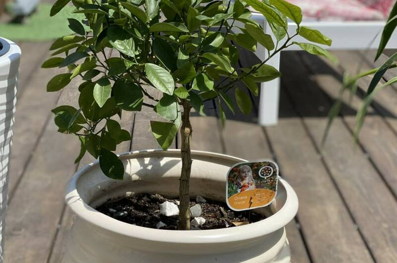 Изображение Изображение отеля / гостиницы "Guest Home «Paradise»" #10 #8