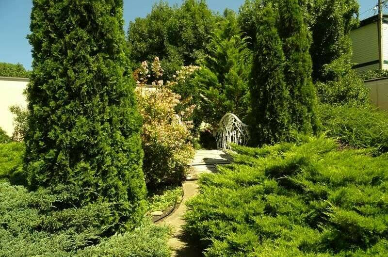 Изображение Изображение гостиницы &quot;Гостевой дом «Костяника»&quot; #2 #2