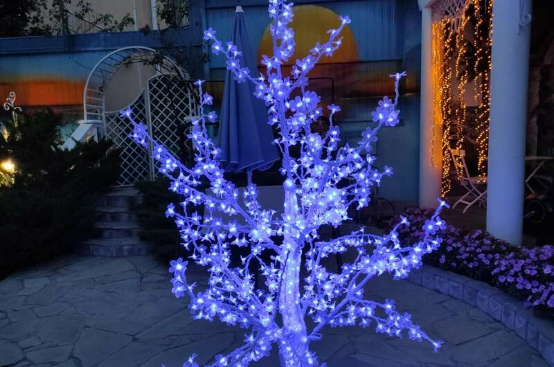 Изображение Изображение гостиницы &quot;Гостевой дом «Костяника»&quot; #3 #3