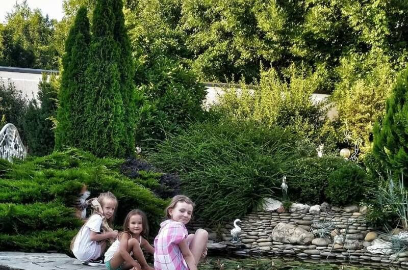 Изображение Изображение гостиницы &quot;Гостевой дом «Костяника»&quot; #7 #7