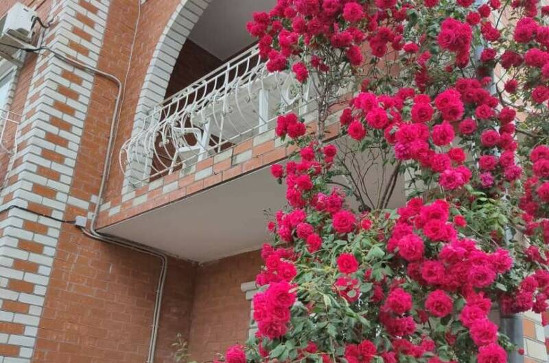 Изображение Изображение квартиры / апартамента "Этаж под ключ с отдельным входом до 11 гостей" #11 #9