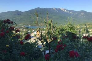 Изображение квартиры / апартамента "Дом под ключ «Изобильное»"