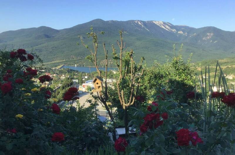 Изображение Изображение квартиры &quot;Дом под ключ «Изобильное»&quot; #1 #1