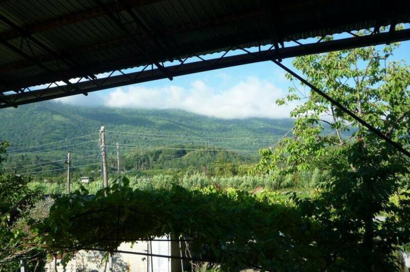 Изображение Изображение отеля / гостиницы "Гостевой дом «Карина»" #11 #9