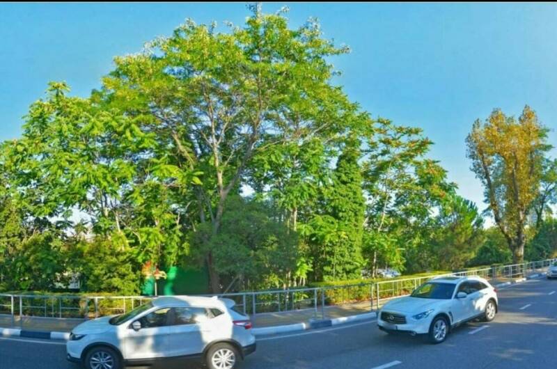 Изображение Изображение гостиницы "Гостевой дом «Ривьера»" #3 #3