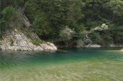 Изображение Изображение гостиницы &quot;Гостевой дом «Парус»&quot; #6 #6