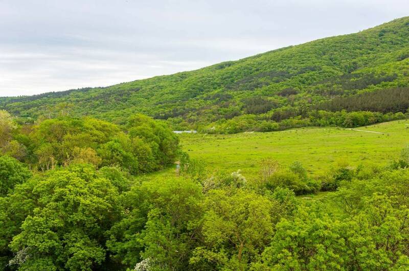 Изображение Изображение гостиницы "Гостевой дом «Отрада»" #5 #5