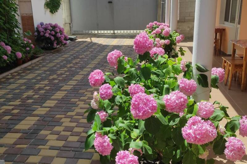 Изображение Изображение гостиницы &quot;Гостевой дом «Велиза»&quot; #2 #2