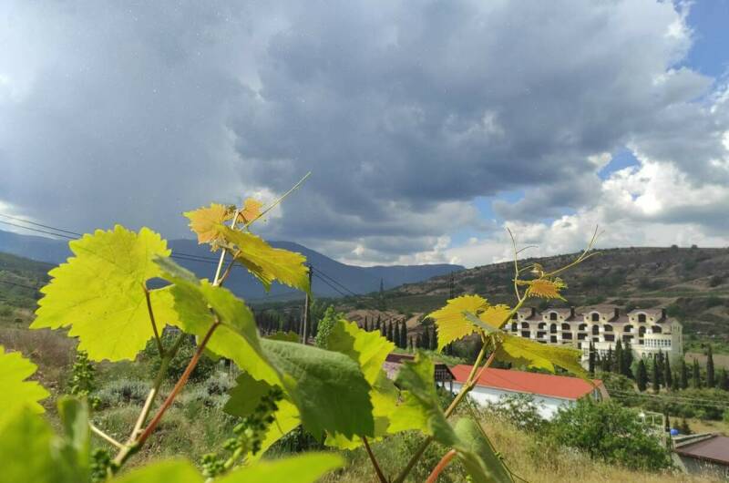 Изображение Изображение гостиницы &quot;Гостевой дом «Велиза»&quot; #7 #7