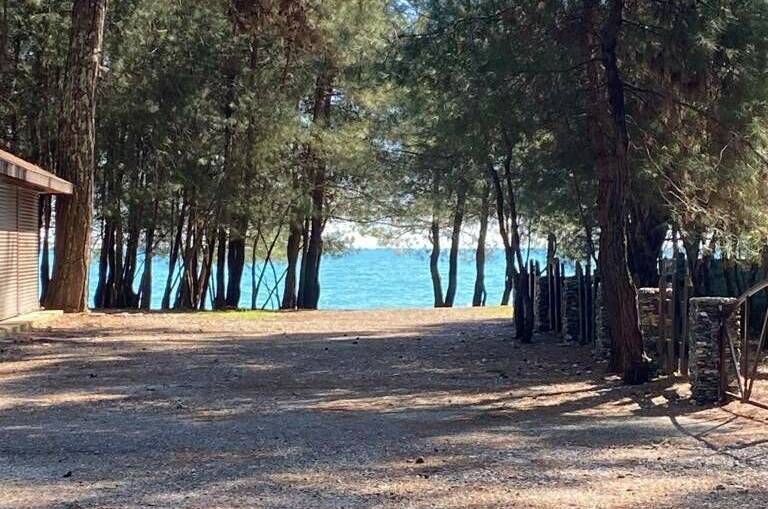 Изображение Изображение квартиры &quot;Апартаменты в Пицунде&quot; #4 #4