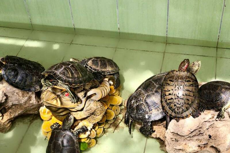 Изображение Изображение гостиницы &quot;Гостевой дом «Уют»&quot; #2 #2