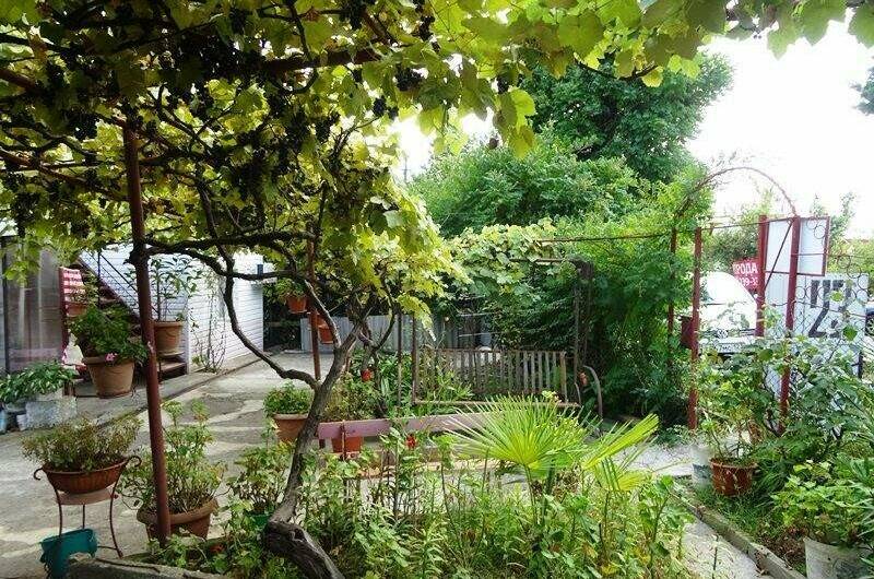 Изображение Изображение гостиницы &quot;Гостевой дом «У Людмилы»&quot; #7 #7