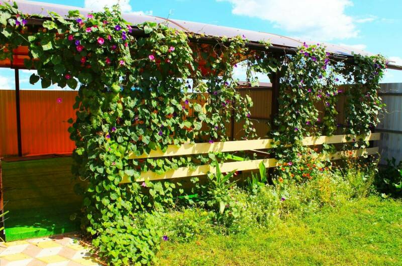 Изображение Изображение гостиницы &quot;Гостевой дом «Простоквашино на Азове»&quot; #3 #3