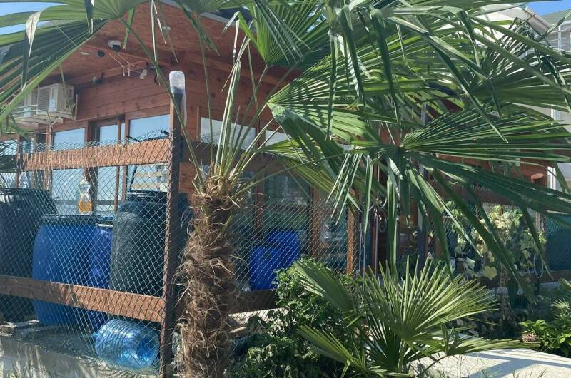 Изображение Изображение отеля / гостиницы "Гостевой дом «У Черного моря»" #11 #9