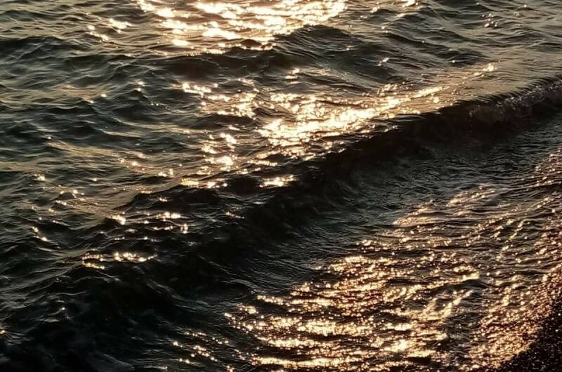 Изображение Изображение отеля / гостиницы "Гостевой дом «Мимоза»" #2 #2