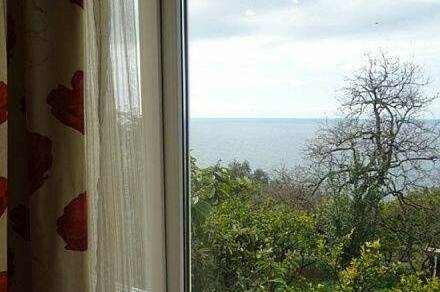 Изображение Изображение отеля / гостиницы "Гостевой дом «Мимоза»" #5 #5