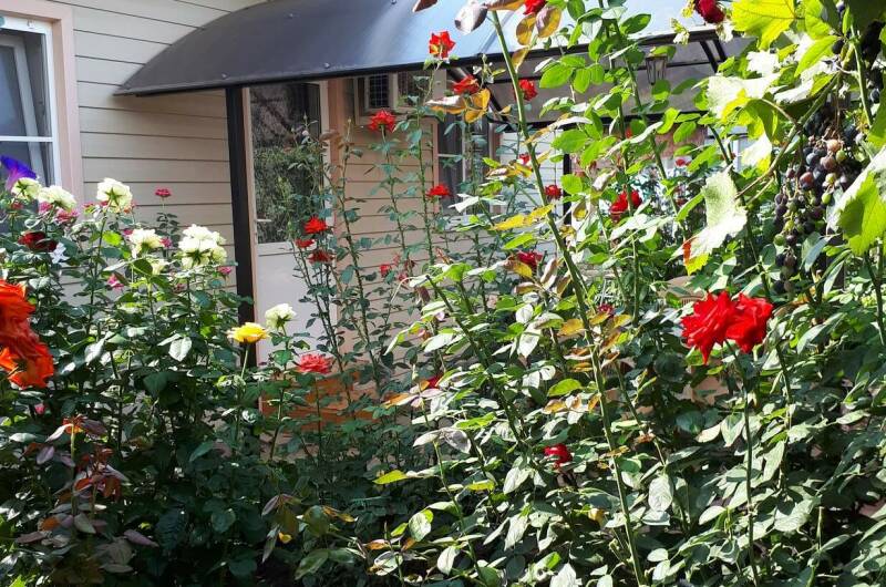 Изображение Изображение квартиры &quot;Дом под ключ «У Татьяны»&quot; #1 #1