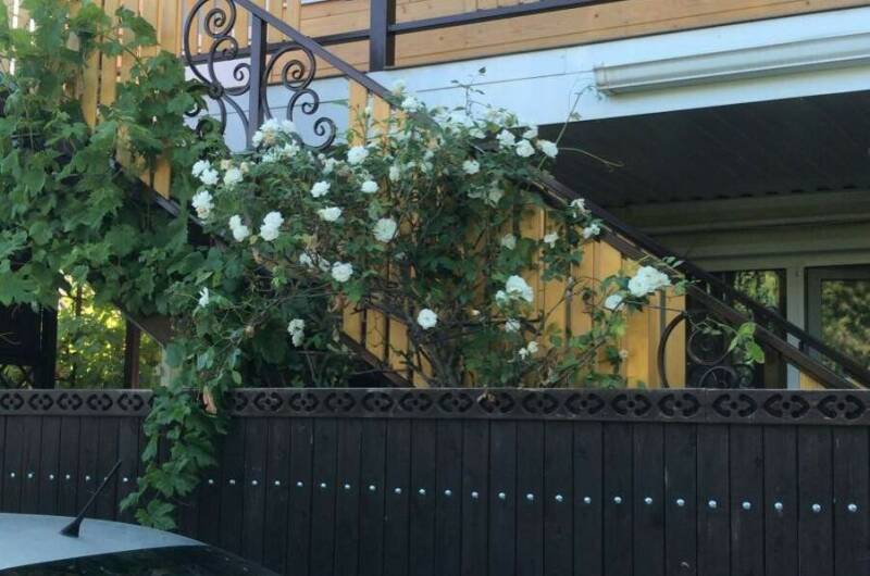 Изображение Изображение гостиницы "Гостевой дом «у Моря»" #4 #4