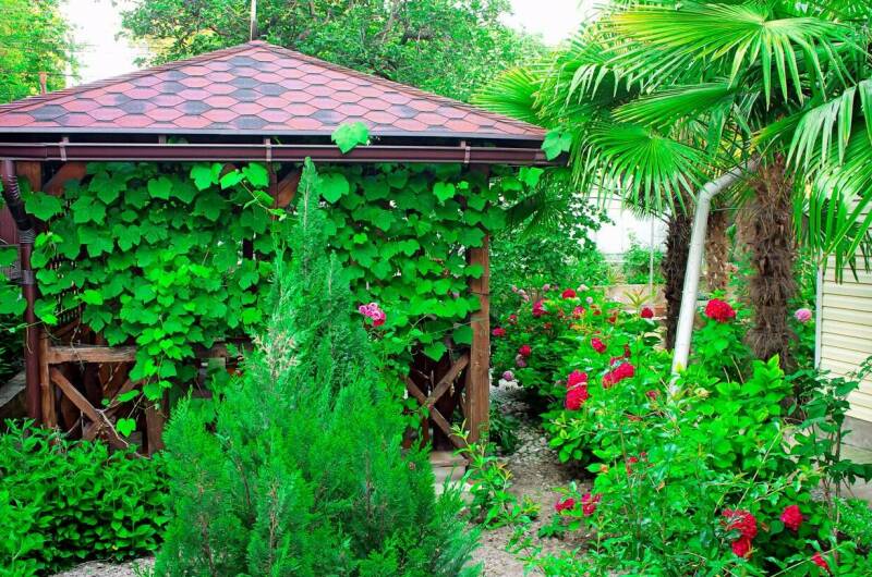 Изображение Изображение гостиницы &quot;Гостевой дом «Sofia»&quot; #5 #5