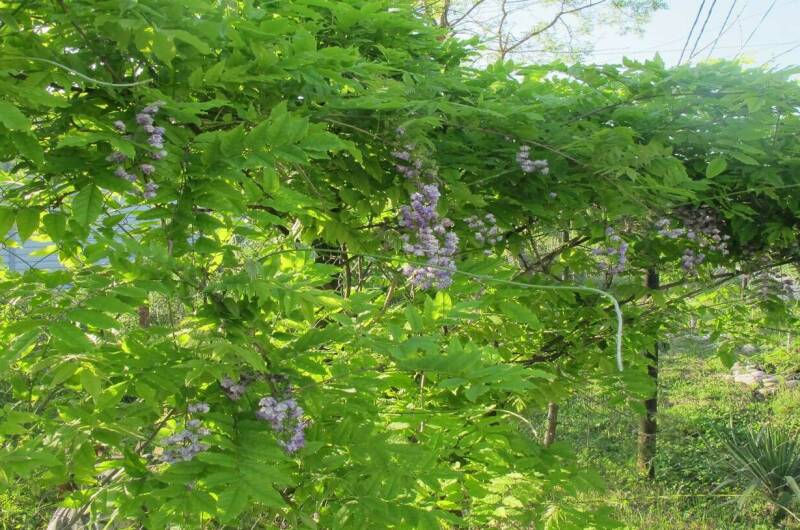 Изображение Изображение гостиницы "Гостевой дом «Пани София»" #3 #3