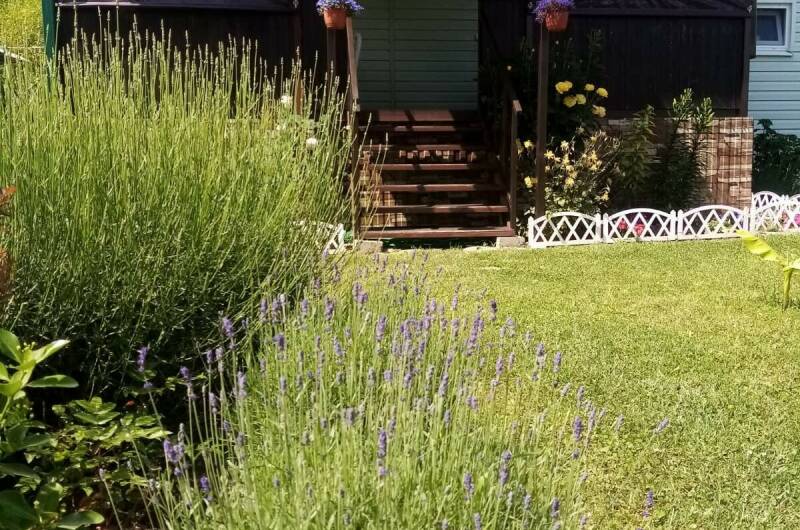 Изображение Изображение квартиры "Дом под ключ «Дача»" #4 #4