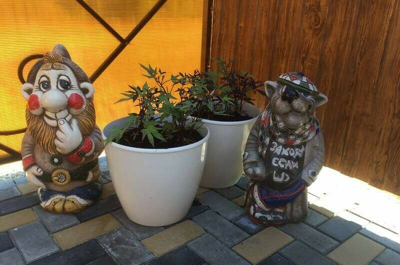 Изображение Изображение квартиры / апартамента "Дом под ключ «Византия»" #11 #9