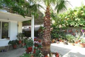 Изображение гостиницы "Частный сектор «Милана»"