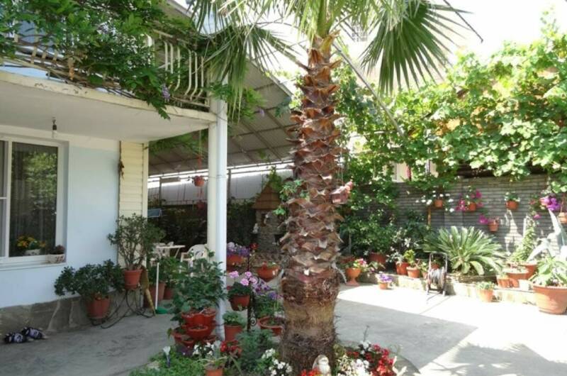 Изображение Изображение гостиницы "Частный сектор «Милана»" #1 #1