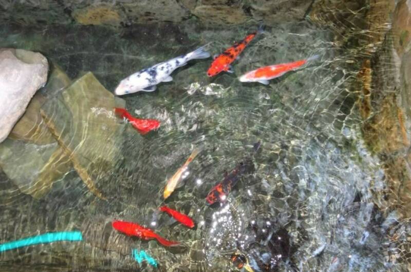 Изображение Изображение гостиницы "Частный сектор «Милана»" #2 #2