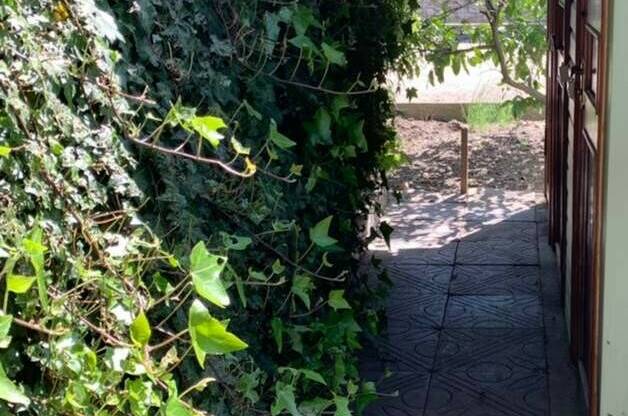 Изображение Изображение гостиницы "Гостевой дом «Роберт»" #4 #4