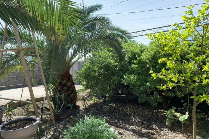 Изображение Изображение гостиницы "Гостевой дом «Роберт»" #6 #6