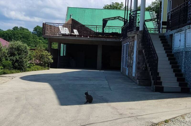 Изображение Изображение гостиницы "Гостевой дом «Эверест в Горном воздухе»" #3 #3