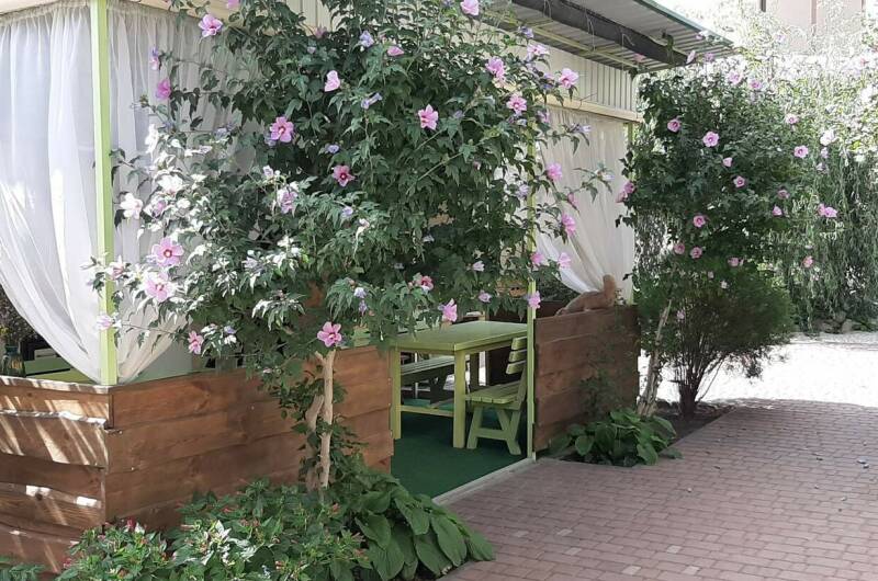 Изображение Изображение гостиницы &quot;Гостевой дом на Гарнаева&quot; #5 #5