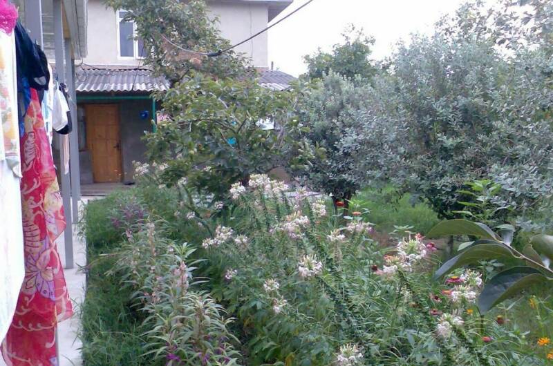 Изображение Изображение отеля / гостиницы "Гостевой дом «У Риммы»" #10 #8