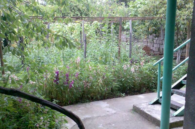 Изображение Изображение отеля / гостиницы "Гостевой дом «У Риммы»" #11 #9