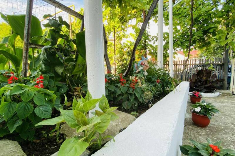 Изображение Изображение гостиницы "Гостевой дом «У Зои»" #2 #2