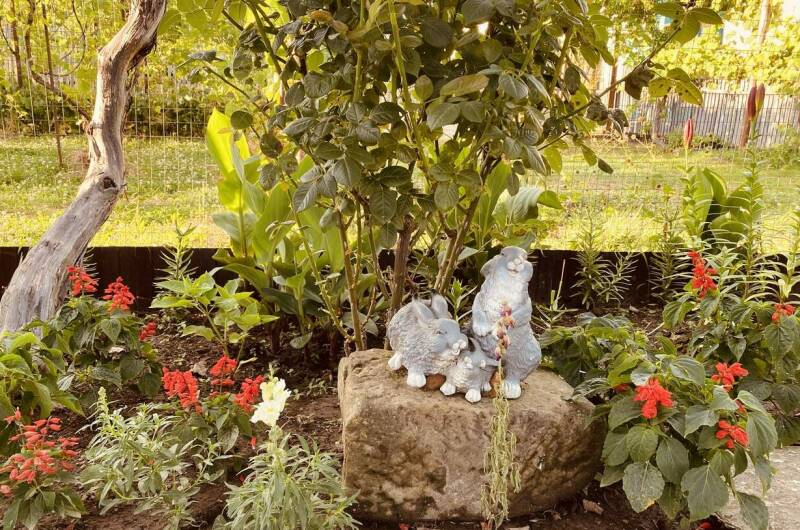 Изображение Изображение гостиницы "Гостевой дом «У Зои»" #4 #4