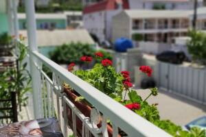 Изображение отеля / гостиницы "Гостевой дом «Оазис Судак»"