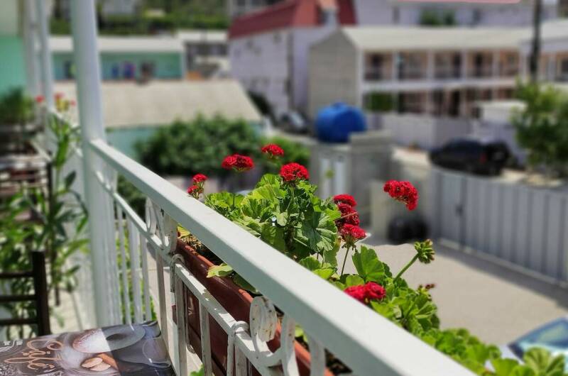 Изображение Изображение гостиницы &quot;Гостевой дом «Оазис Судак»&quot; #1 #1