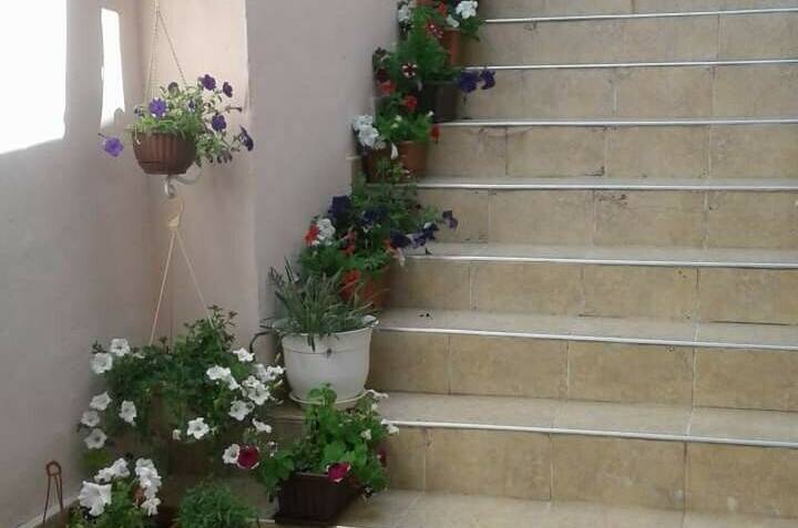 Изображение Изображение гостиницы &quot;Гостевой дом «Сильва»&quot; #2 #2