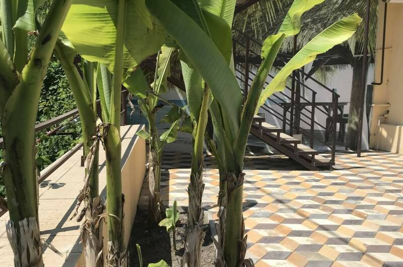 Изображение Изображение гостиницы &quot;Гостевой дом «AlexHoume»&quot; #4 #4