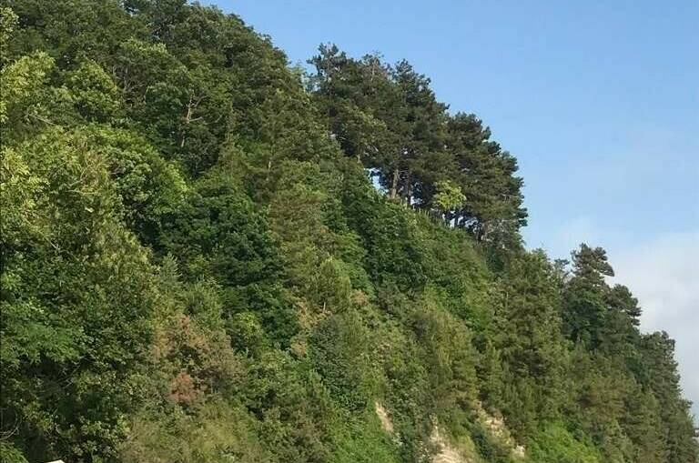 Изображение Изображение гостиницы &quot;Гостевой дом «AlexHoume»&quot; #7 #7