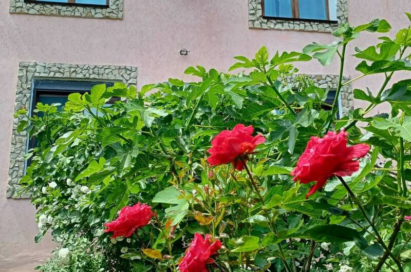 Изображение Изображение квартиры &quot;Дом под ключ на Стамова&quot; #3 #3